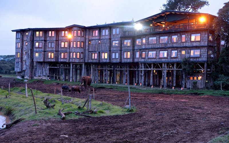 JTS036 – 5 Days Tree Hotel, Samburu, Mount Kenya