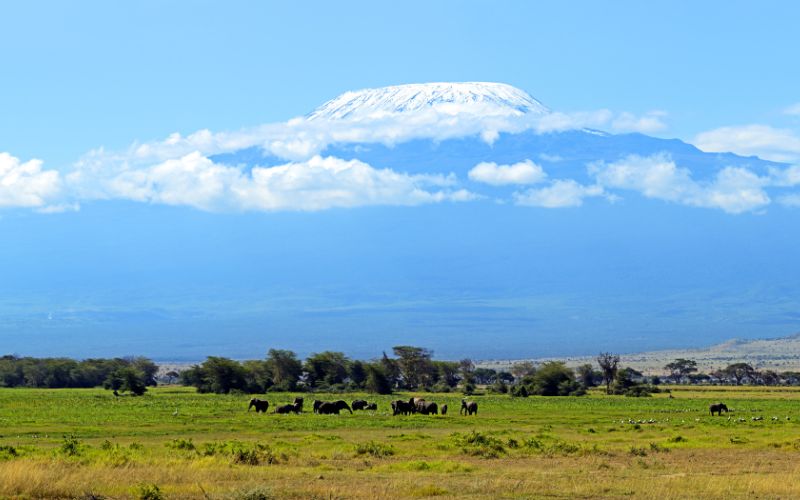JTS05 – 4 Days 3 Nights Amboseli, Lake Naivasha, Lake Nakuru
